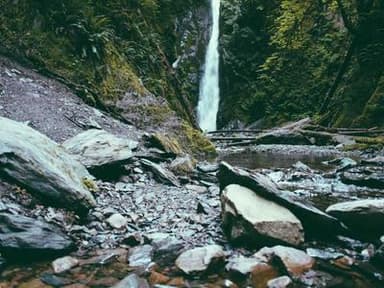 Primary Savings Account